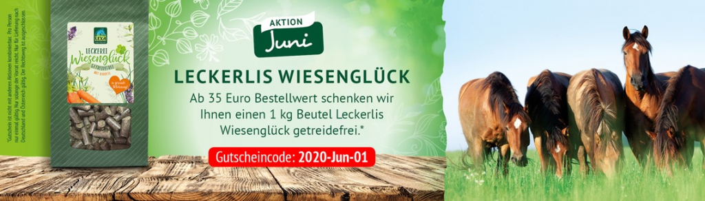 Lexa-Aktion Juni 2020