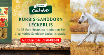 Lexa-Aktion Oktober 2020