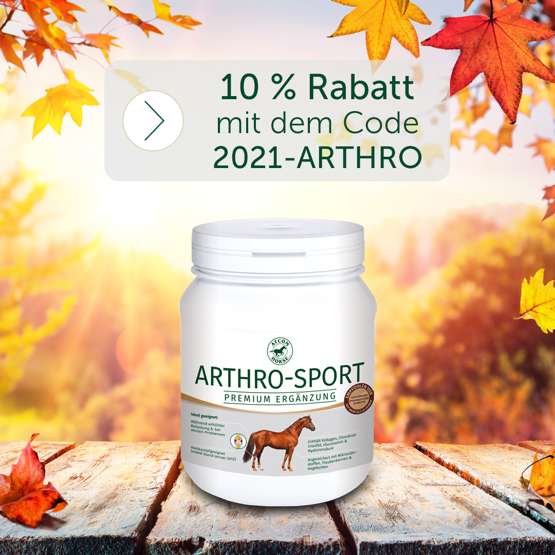 10% Rabatt-Aktion bei Atcomhorse.de