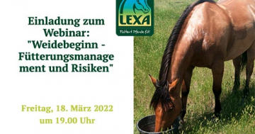 kostenloser Workshop bei LEXA