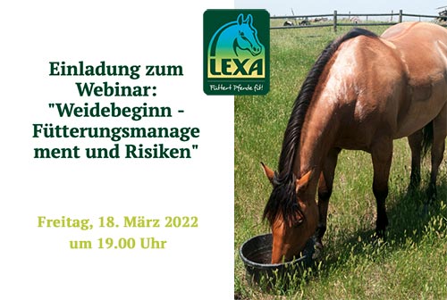 kostenloser Workshop bei LEXA