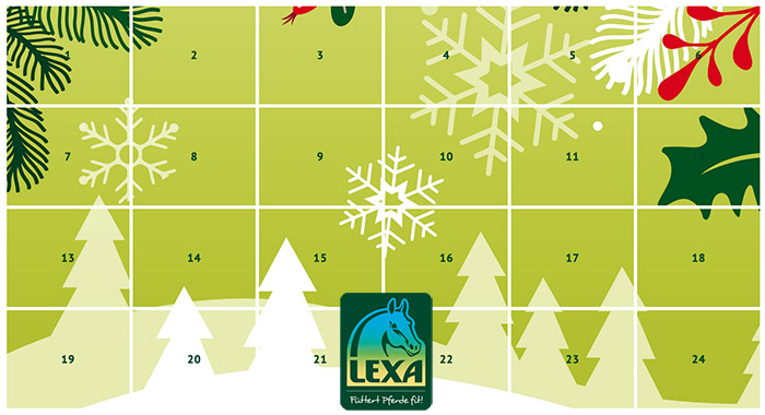 LEXA Adventskalender