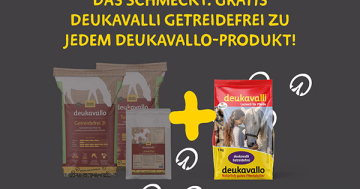 Black-Week-Deal bei deuka-companion