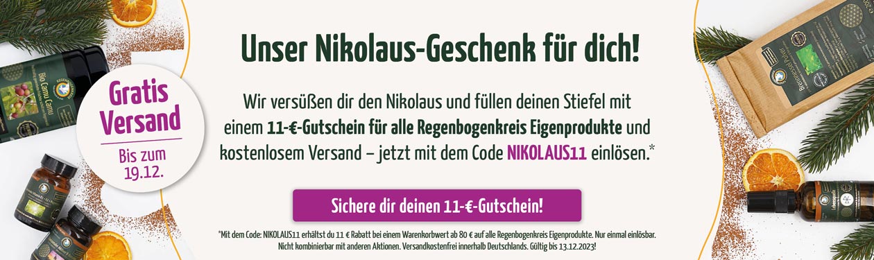 Nikolaus-Aktion bei Regenbogenkreis